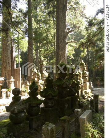 Koyasan·Okunoin 7239134