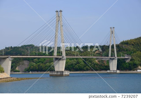 Oshiba Ohashi 7239207