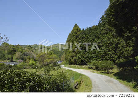 圍繞山路 7239232