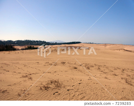 鳥取沙丘 7239283