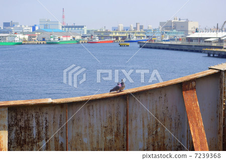 生鏽的鐵橋樑和風景在橫濱市神奈川區 生鏽的鐵橋樑和風景在橫濱市神奈川區 7239368