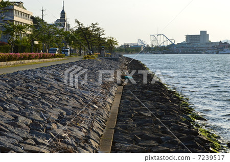 coast 7239517