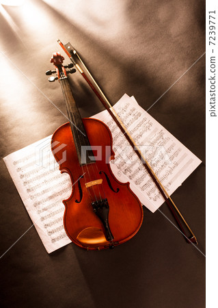 Violin and notes 7239771