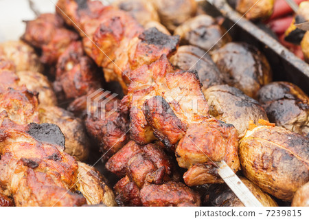 Shashlik closeup 7239815