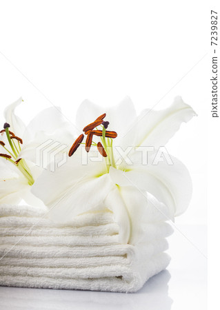 White spa towels White spa towels 7239827