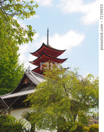 五個故事 五個故事 7239933