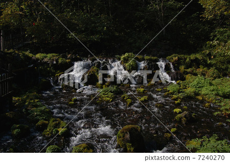 Spring of the balloon park 7240270