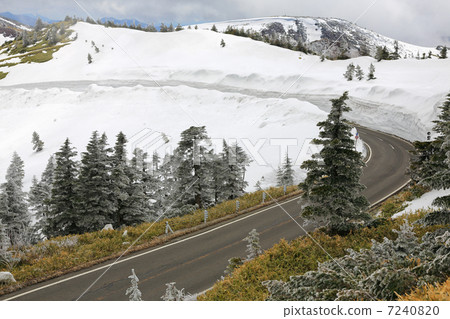 Spring Shiga Kusatsu road 7240820