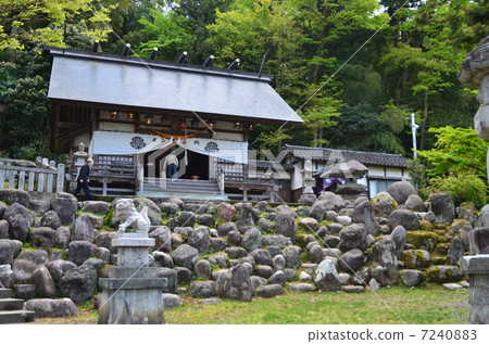 Echita-Yao·Suwasha 7240883