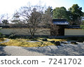 Early Spring's Equestrian Rock Garden 7241702