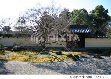 Early Spring's Equestrian Rock Garden 7241702