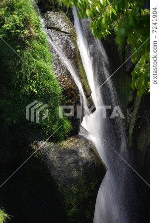 Ryugu no Taki slow shooting Takiguchi shooting vertical composition Ryugu no Taki slow shooting Takiguchi shooting vertical composition 7241904