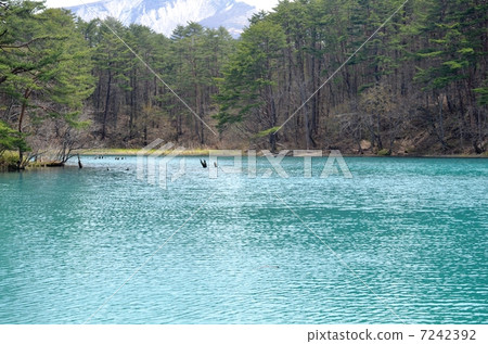 Mysterious Five Gunma 7242392