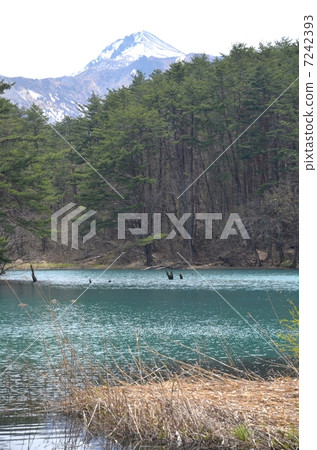 Mysterious Five Gunma 7242393