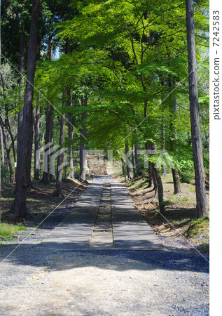 The approach to Shika Ruin site 7242583