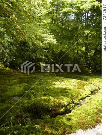 京都 -  Rurikoin 7242617