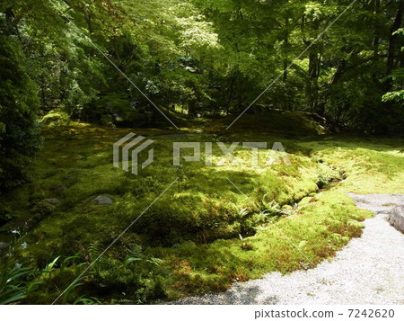 京都 - Rurikoin 京都 - Rurikoin 7242620