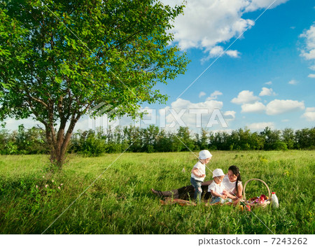 picnic picnic 7243262