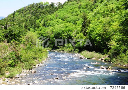 Tsunemi river of fresh green 7243566