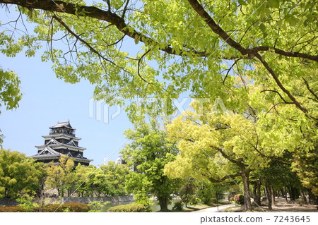 Hiroshima Castle Hiroshima Castle 7243645