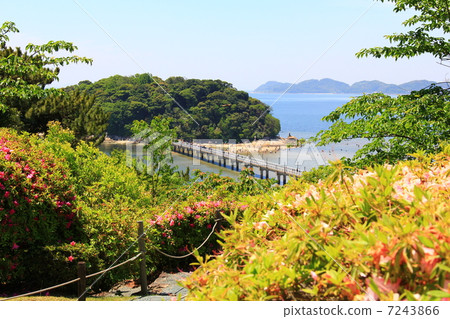 竹島和新鮮的綠色 7243866