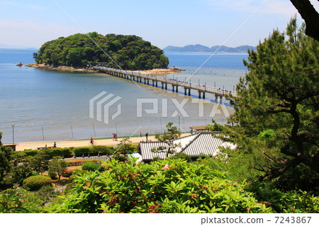 竹島和新鮮的綠色 7243867