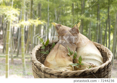 Bamboo shoot 7244236
