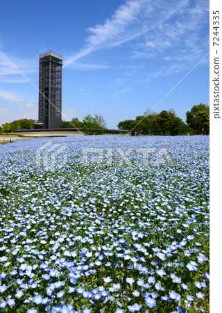 Namofira of Lake Hamana Garden Park Namofira of Lake Hamana Garden Park 7244335