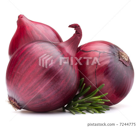 red onion and rosemary leaves red onion and rosemary leaves 7244775