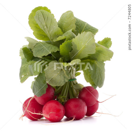 Small garden radish with leaves 7244805