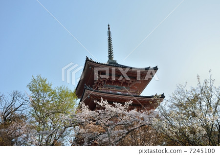 Kiyomizu Temple in spring, triple tower Kiyomizu Temple in spring, triple tower 7245100