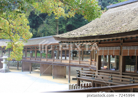 Shintoku神社香川縣沿著Kotohira-san的橫向選秀 7245994