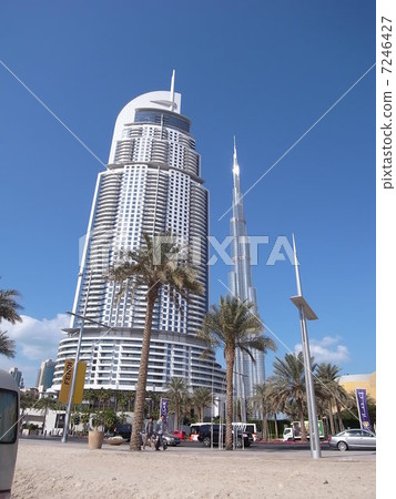 Birge Califa 7246427