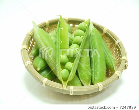 綠色和平 綠色和平 7247959