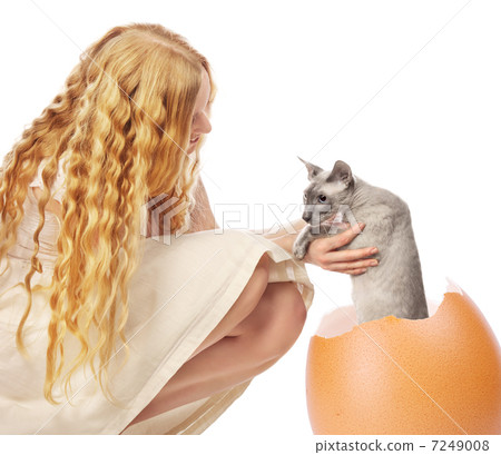 Cat Hatched From Egg Cat Hatched From Egg 7249008