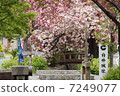 Shirai旅館 7249077