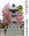 Shirai旅館 7249078
