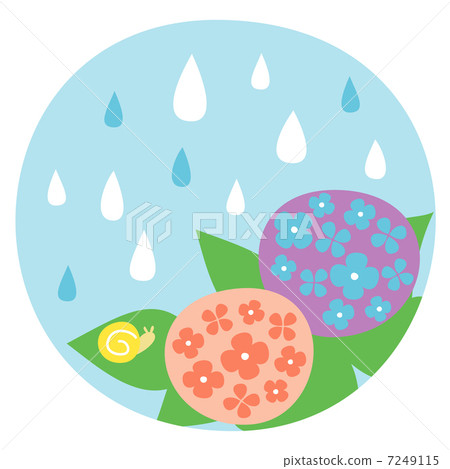 六月雨季繡球花和蝸牛 7249115