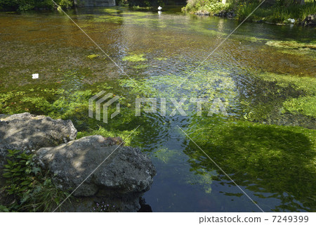 Asama Taisya Spring Pond 7249399