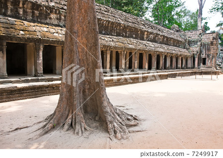 Ta Prohm Temple, Angkor Wat, Cambodia Ta Prohm Temple, Angkor Wat, Cambodia 7249917