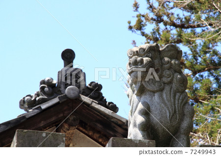 神社的狗 7249943