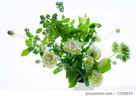 Green bouquet 7250035