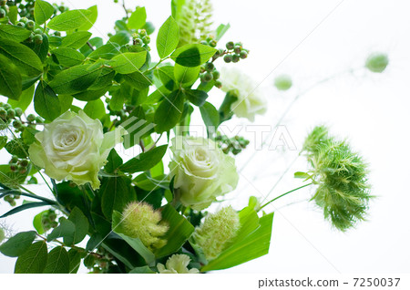 Green bouquet 7250037
