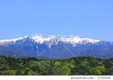 新鮮的綠色和雪山在中川村 7250448