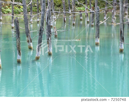 Biei's Blue Pond 7250748