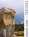 Ancient Ruins Detail 7251551
