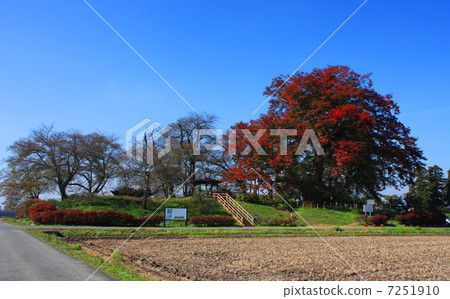 The temple's castle ruins The temple's castle ruins 7251910