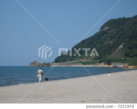 Walk with a dog on a sandy beach 7251979
