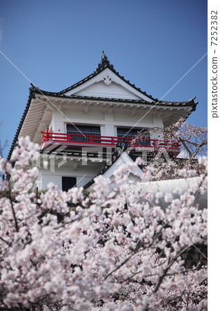 Wakuya城堡盛開的櫻花 7252382