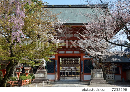 Spring Yasaka Shrine, South Tower 7252396